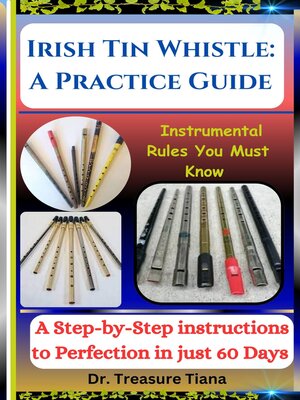 cover image of Irish Tin Whistle